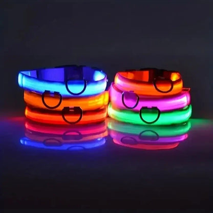LED Night Time Safety Dog Collar