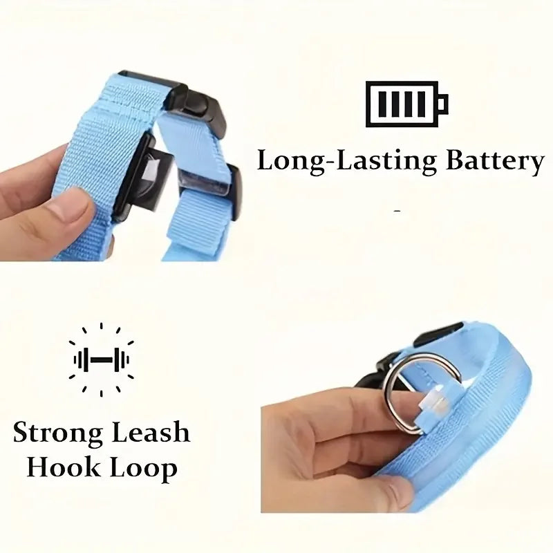 LED Night Time Safety Dog Collar