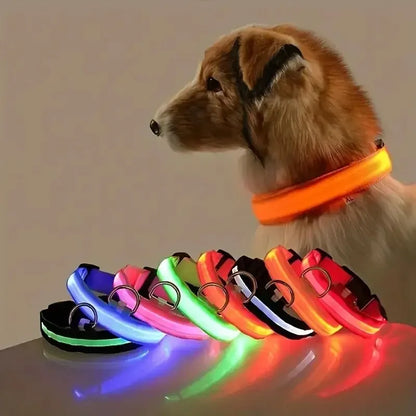 LED Night Time Safety Dog Collar