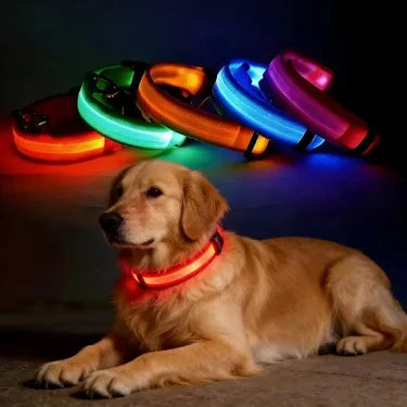 LED Night Time Safety Dog Collar