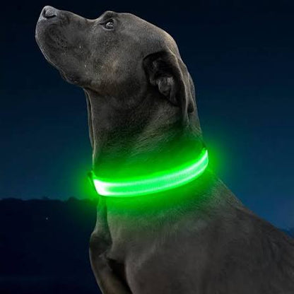 LED Night Time Safety Dog Collar